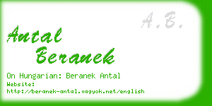 antal beranek business card